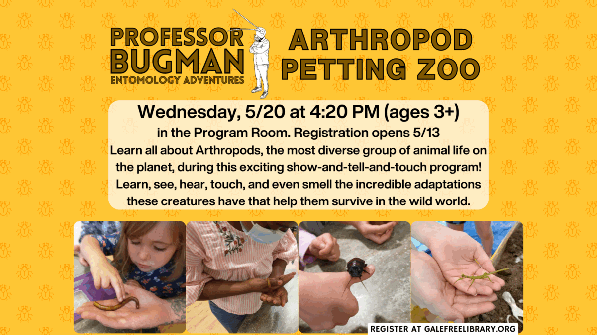 bug zoo may 26