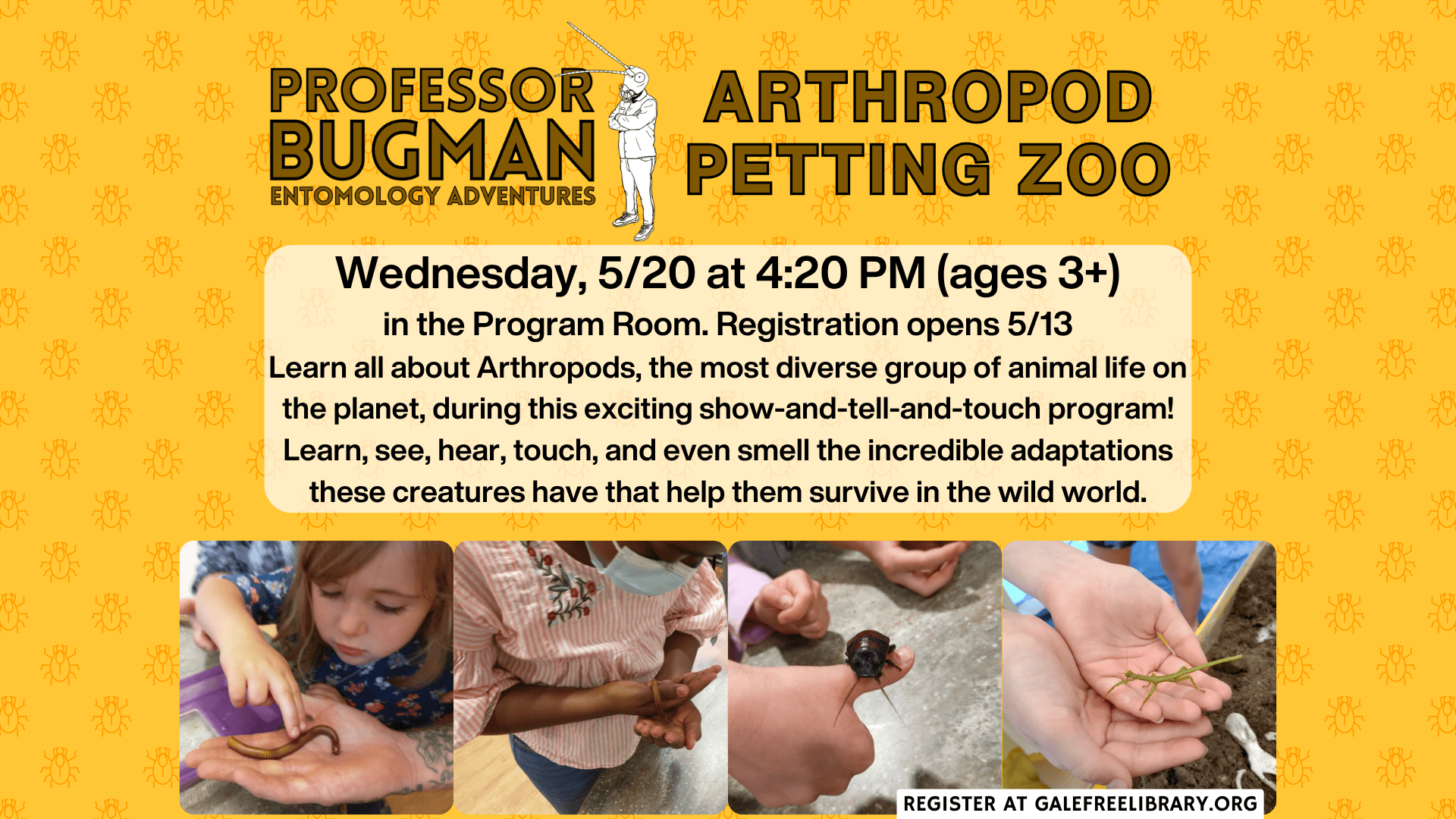 bug zoo may 26