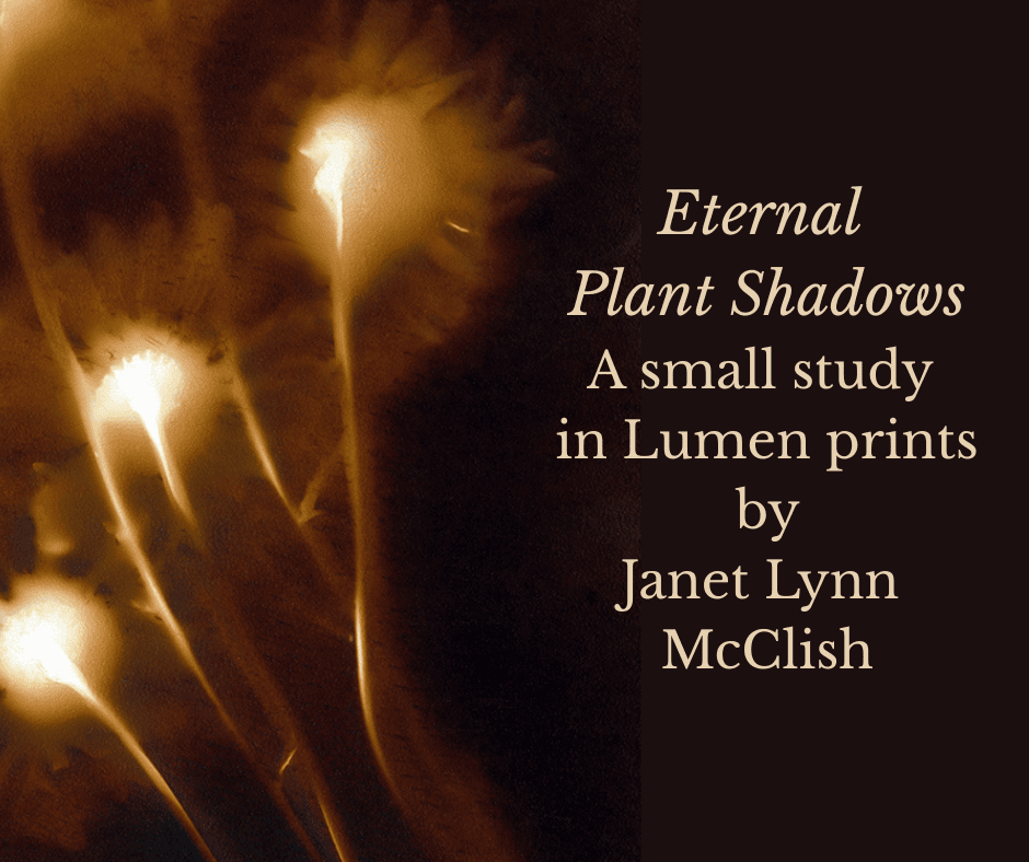cc eternal plant shadows