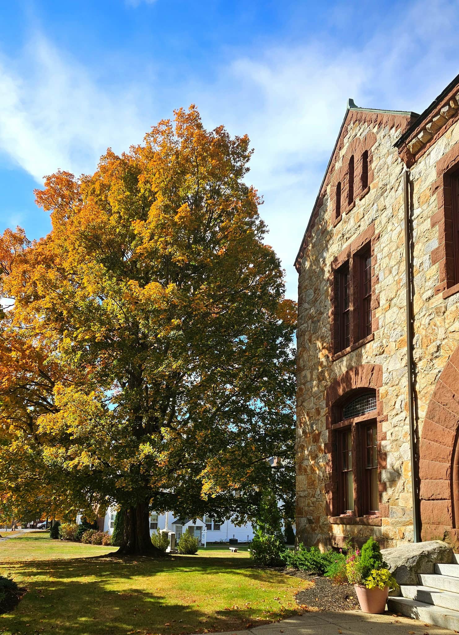 gale library corner view