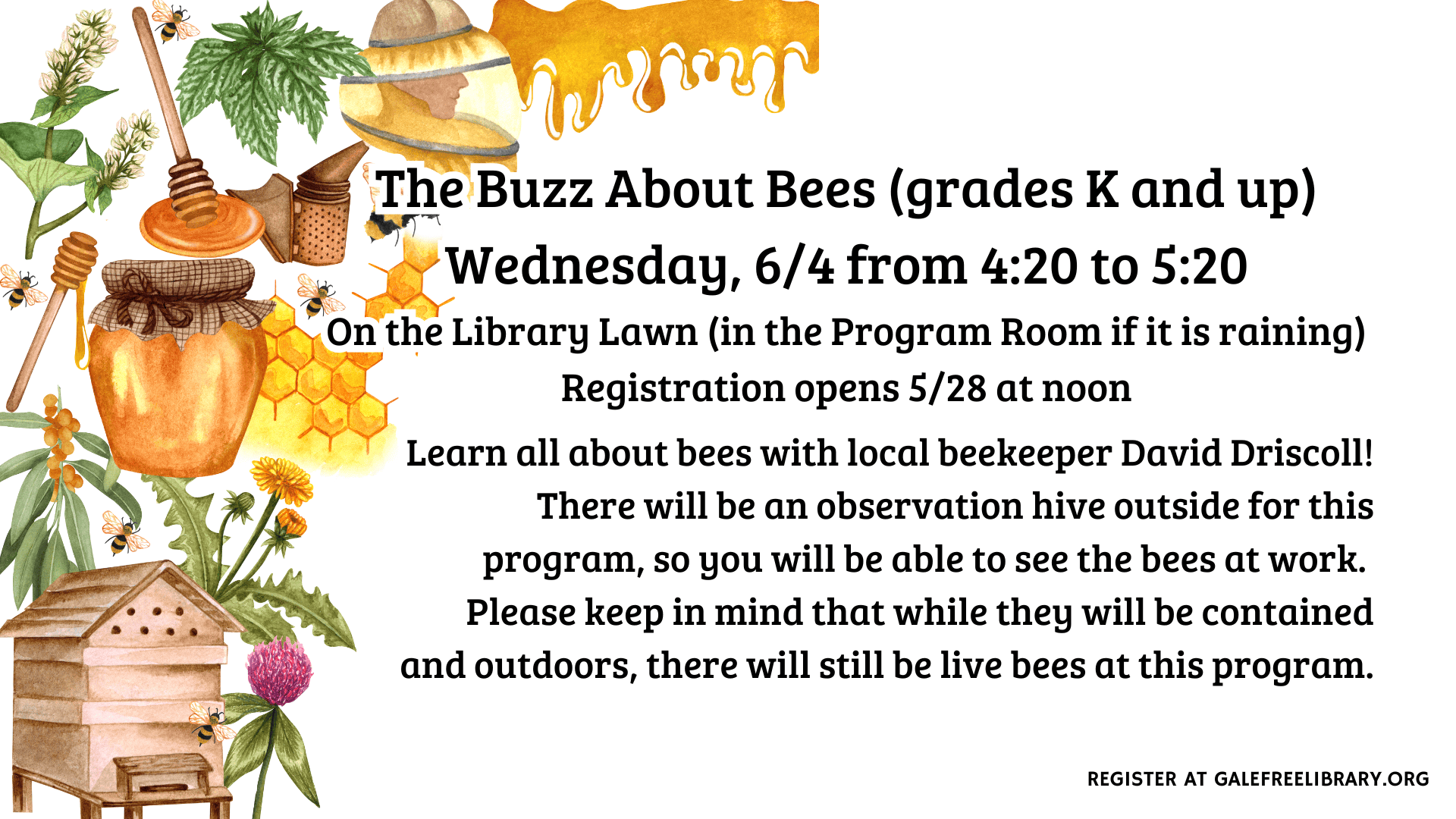 june buzz bees