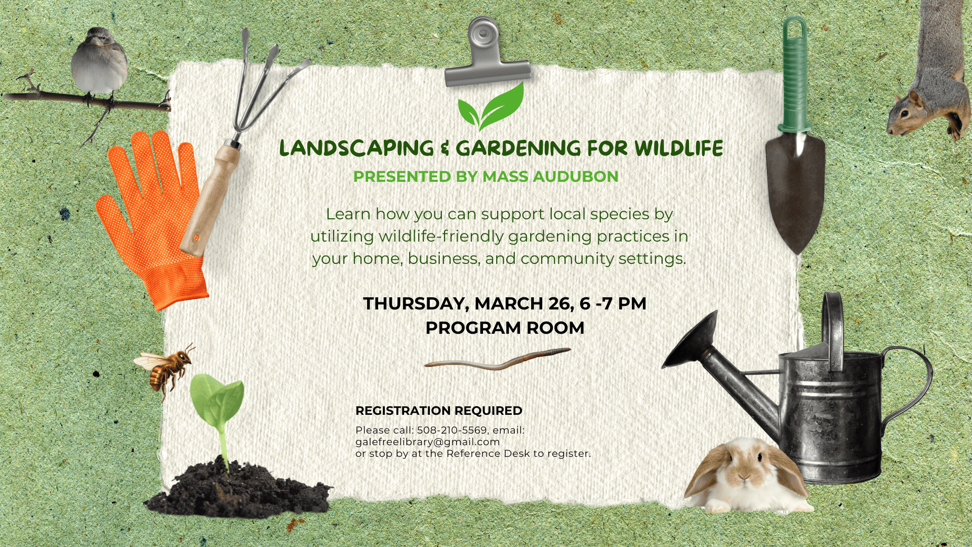 landscaping and gardening for wildlife