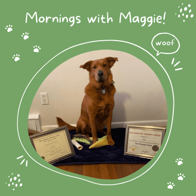 mornings with maggie image