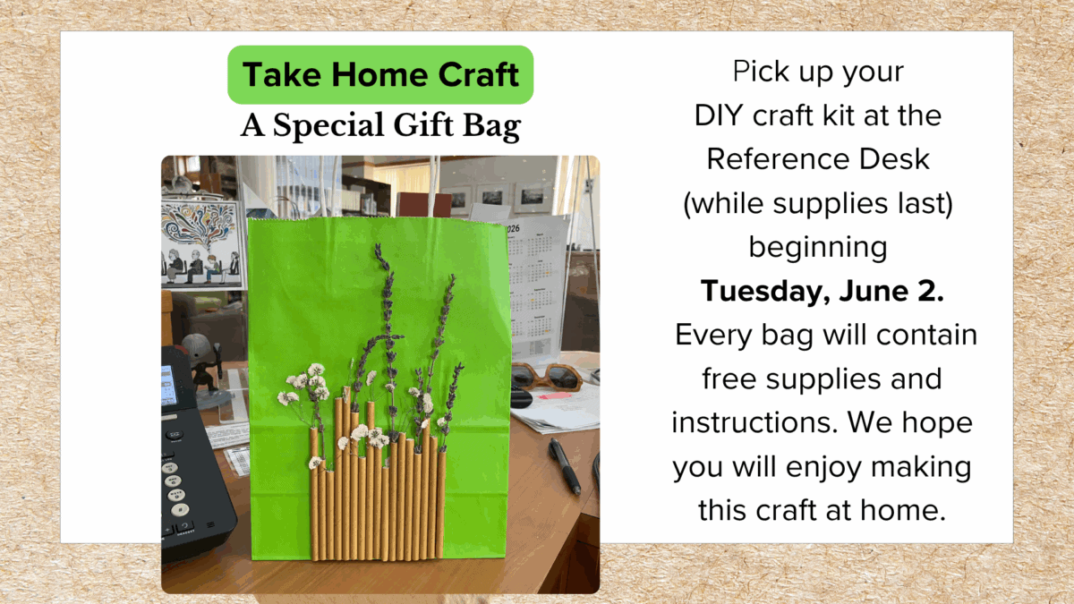 take home craft special gift bag (presentation)