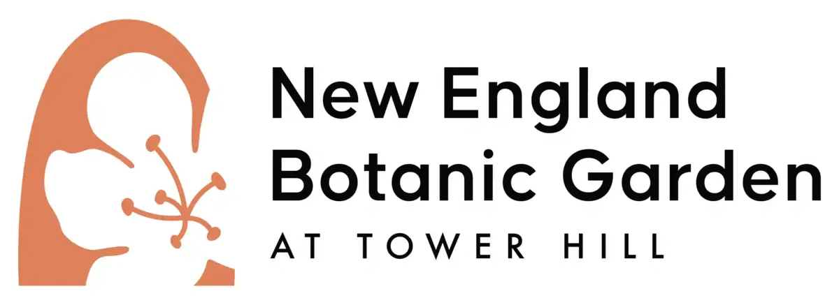 tower hill logo